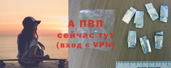 винт Богданович