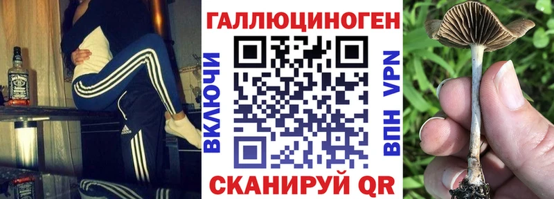 Псилоцибиновые грибы Magic Shrooms  Вилюйск 